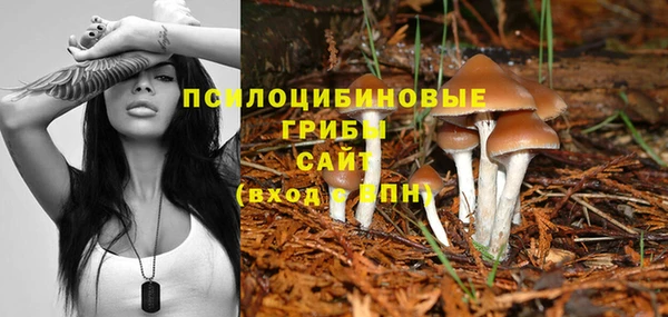 гидропоника Баксан