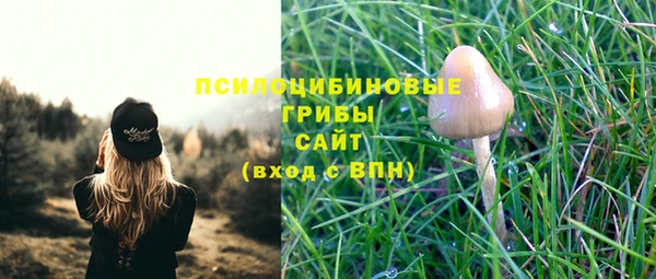 а пвп мука Балахна