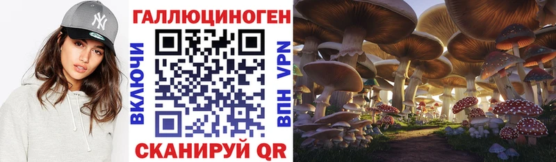 Псилоцибиновые грибы Cubensis  Заозёрск 